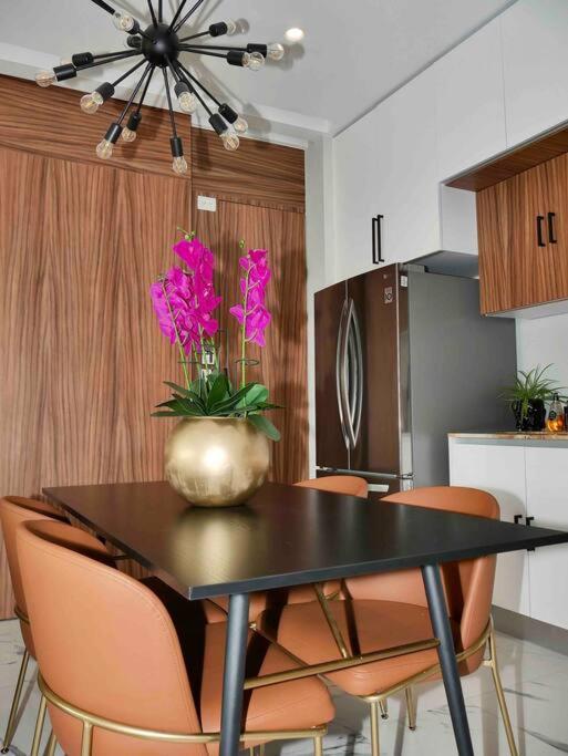 Modern 1 Bedroom プエルトバラータ エクステリア 写真